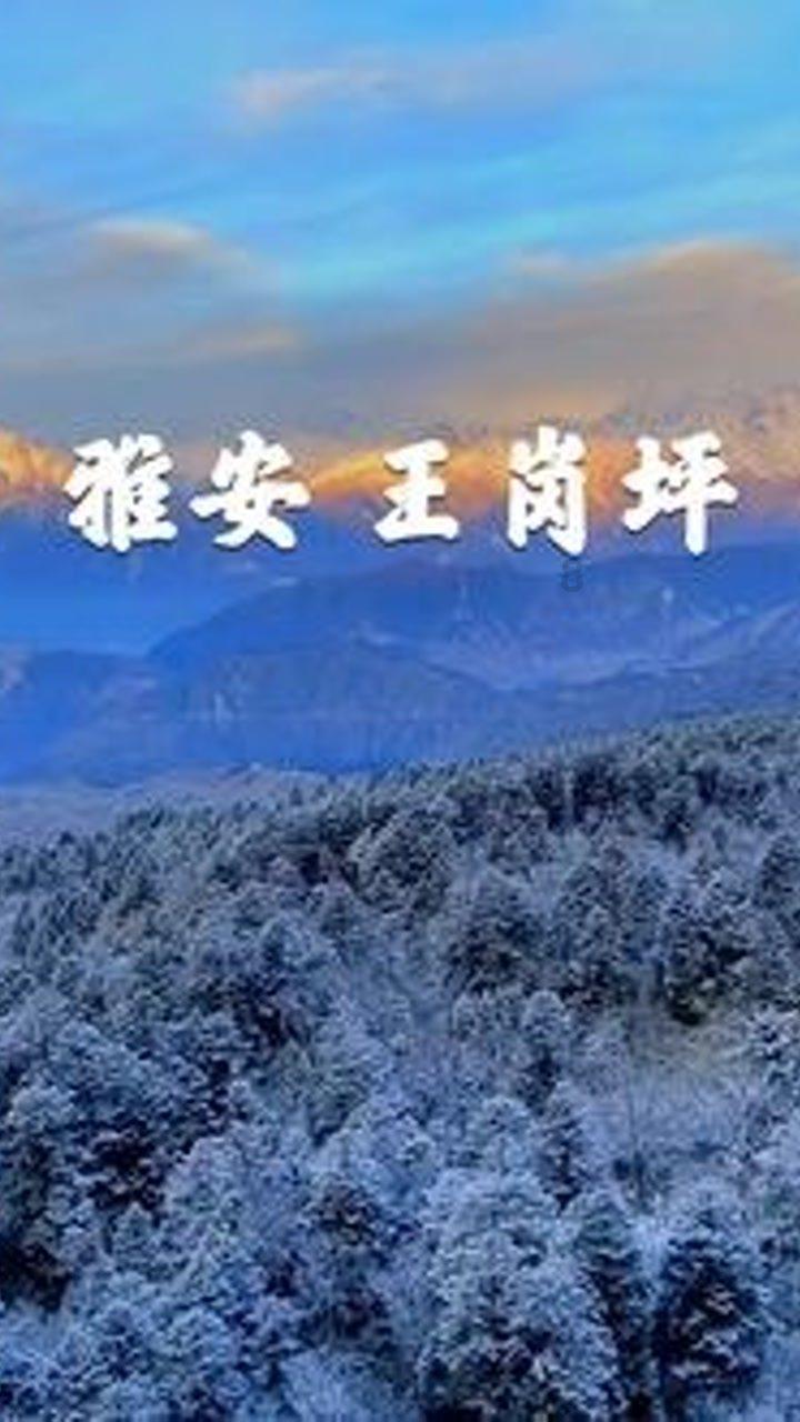 私人度假胜地