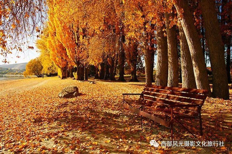 宜人金科深耕金融科技获青睐,位列“最具人气上市公司TOP300”