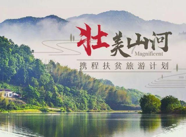 咏梅，牙雕清玩，寒梅如意