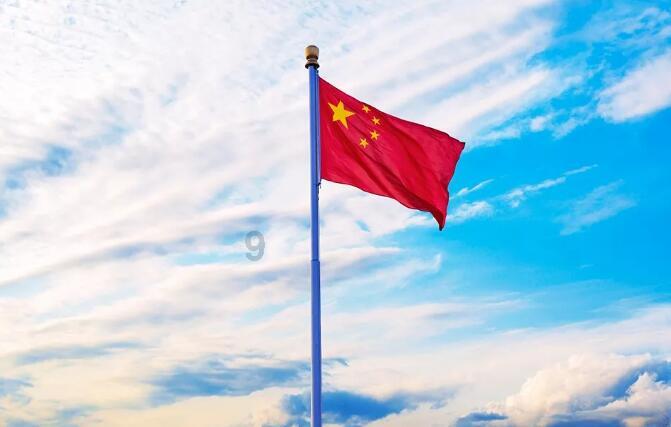 可爱小猫向上跳