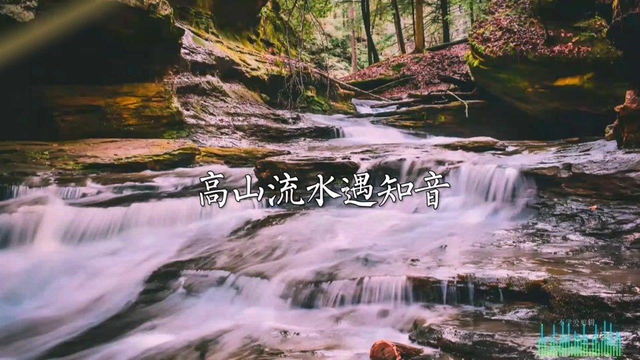 如何开普洱茶?如何泡普洱茶才好喝?-知识星球平台,与你分享无限知识宝藏