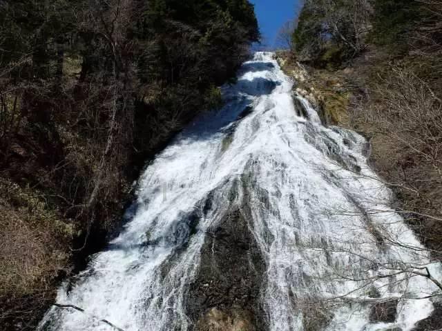 喜羊羊要上200层