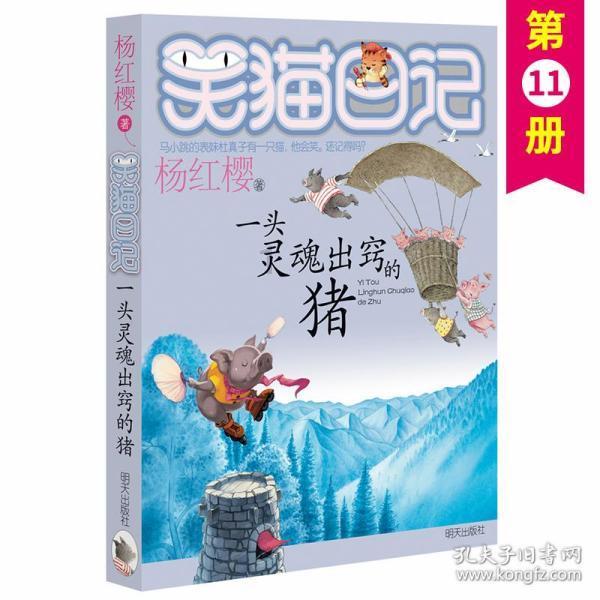 河南省政协委员王新奇:为台青体验中原文化创造条件