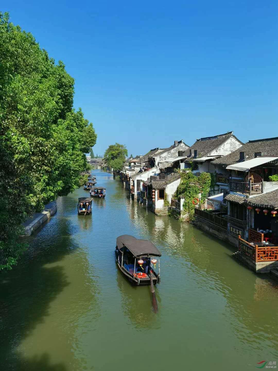 乾隆写给英国国王的信，全文976字让人汗颜，如今珍藏于英博物馆
