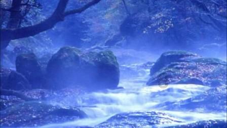 教师暂缓注册是什么意思